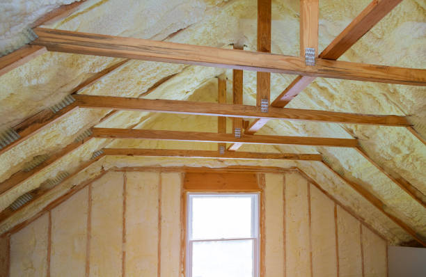 Best Specialized Insulation Services in Celina, TN
