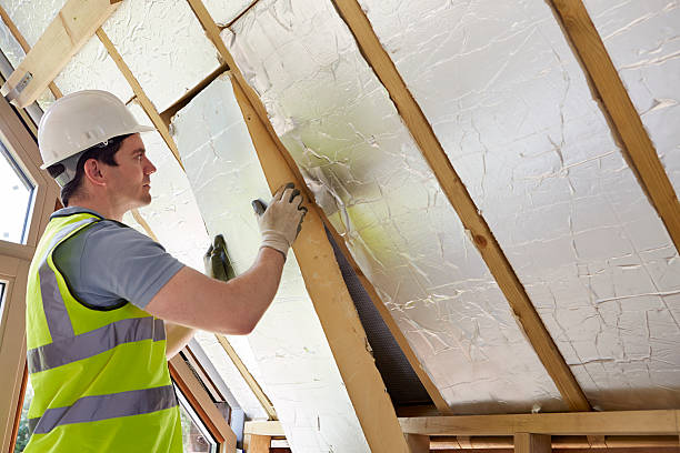 Best Cellulose Insulation in Celina, TN